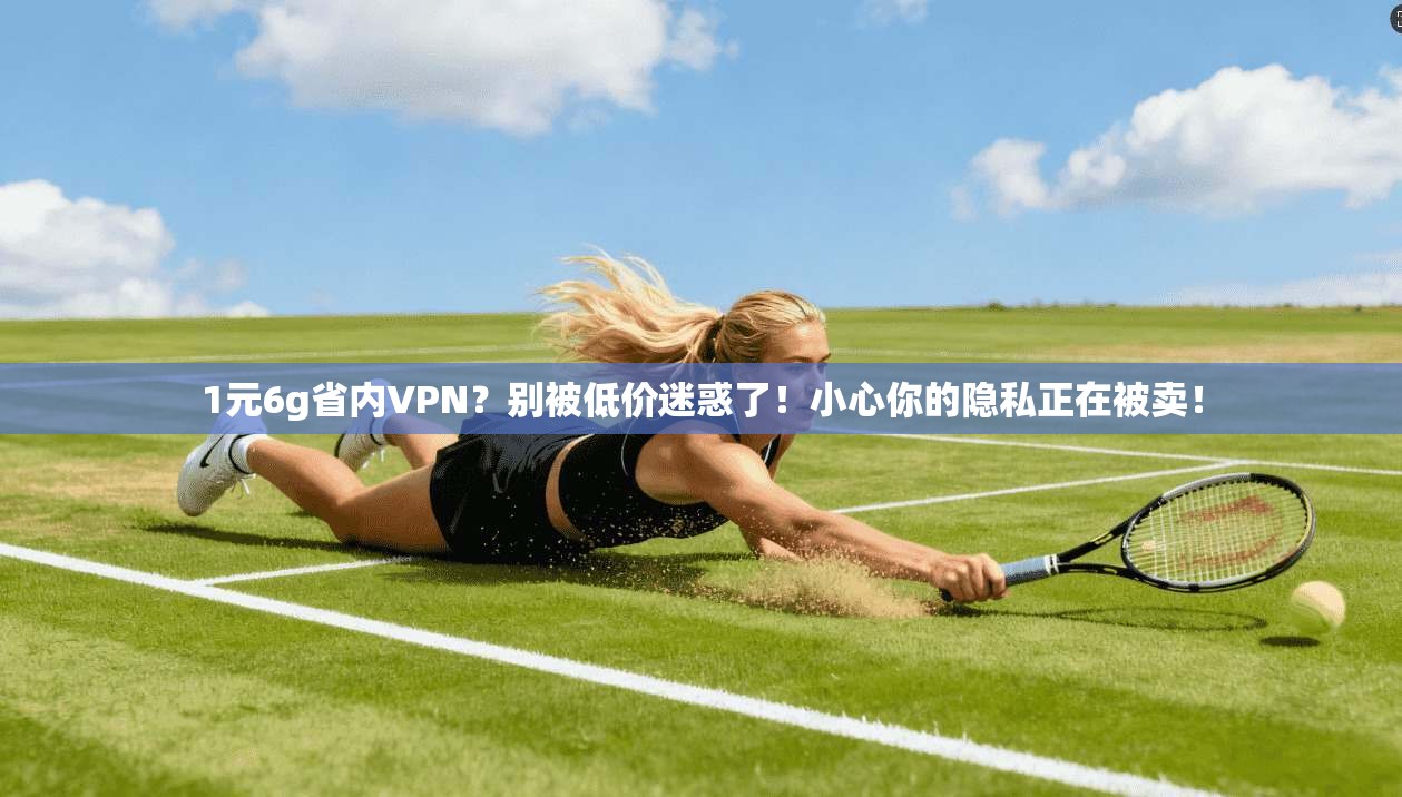 1元6g省内VPN？别被低价迷惑了！小心你的隐私正在被卖！