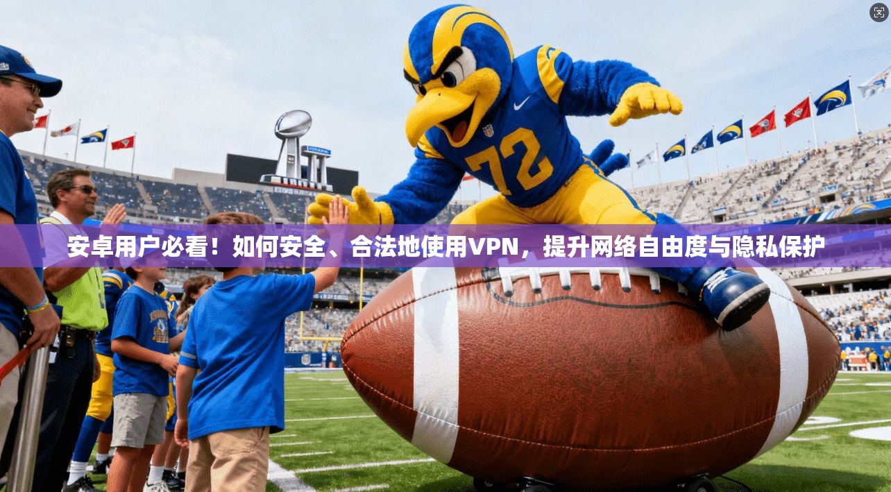 安卓用户必看！如何安全、合法地使用VPN，提升网络自由度与隐私保护