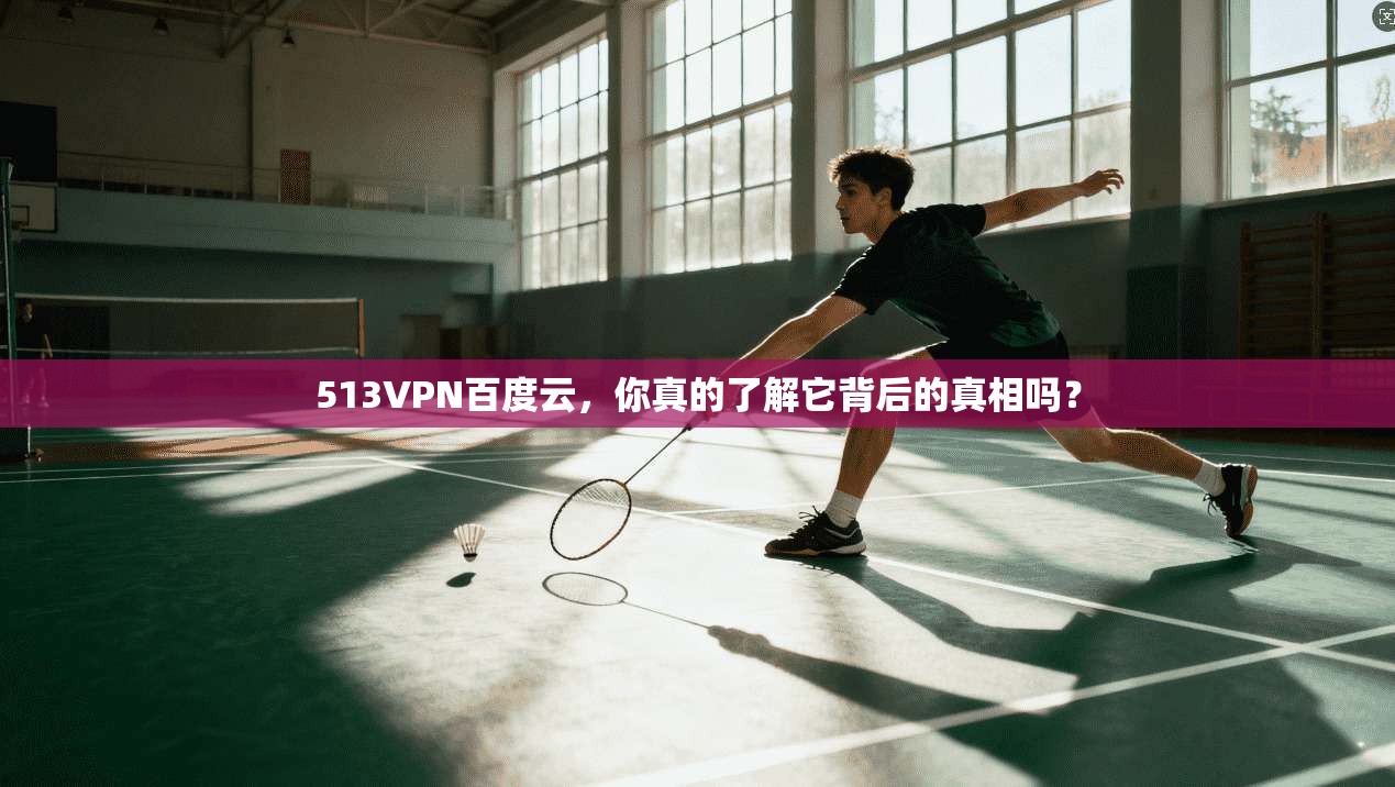 513VPN百度云，你真的了解它背后的真相吗？