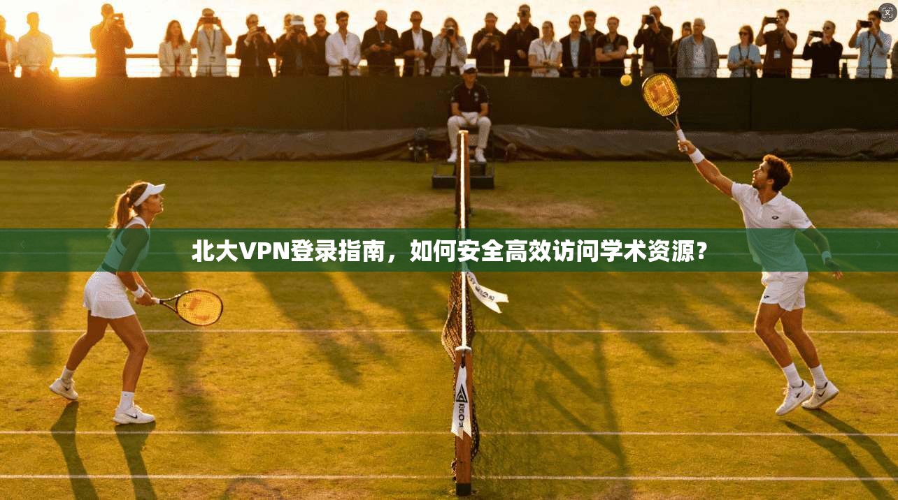 北大VPN登录指南，如何安全高效访问学术资源？