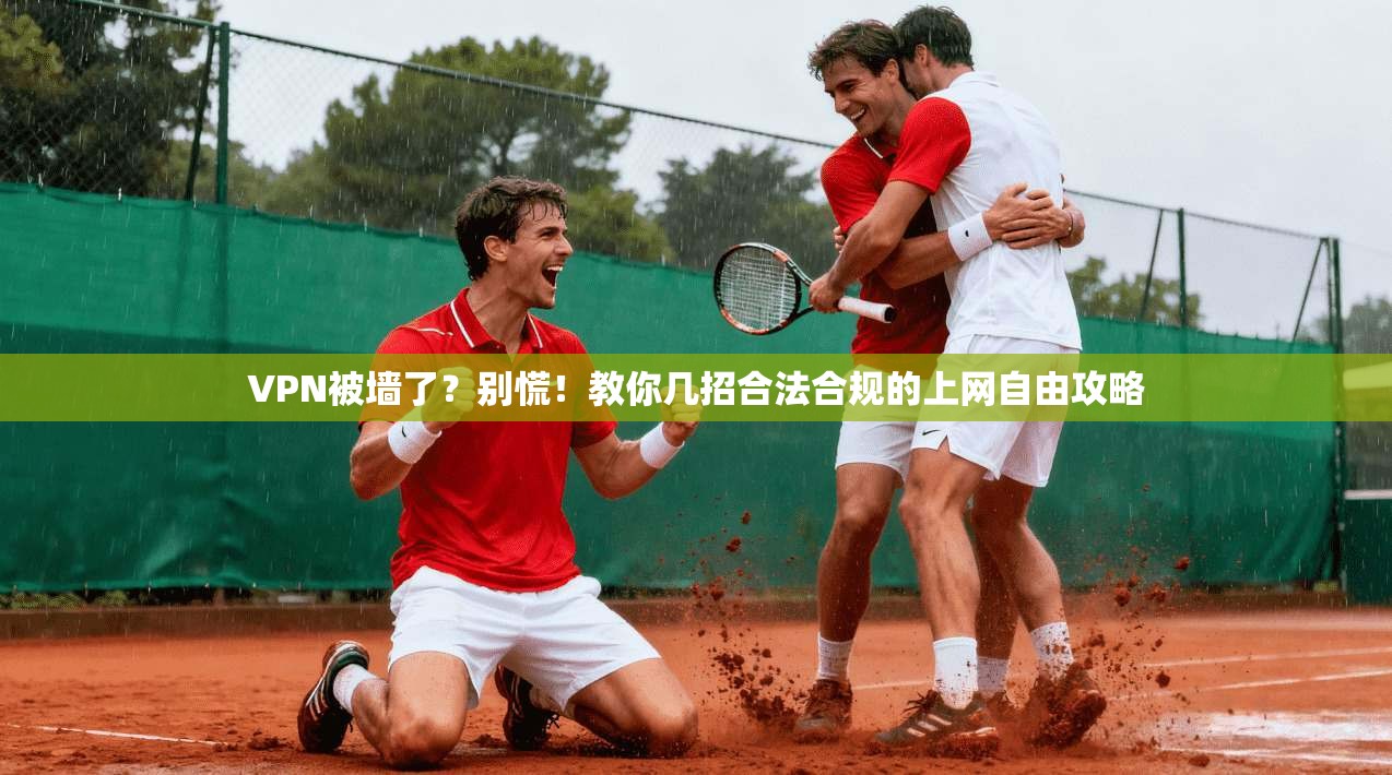 VPN被墙了？别慌！教你几招合法合规的上网自由攻略