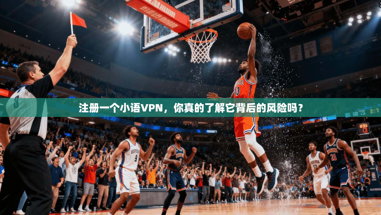 注册一个小语VPN，你真的了解它背后的风险吗？