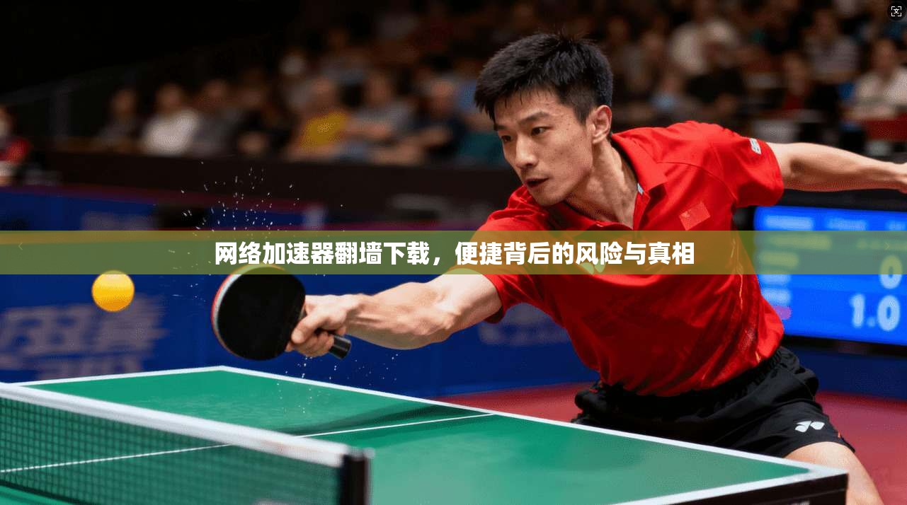 网络加速器翻墙下载，便捷背后的风险与真相