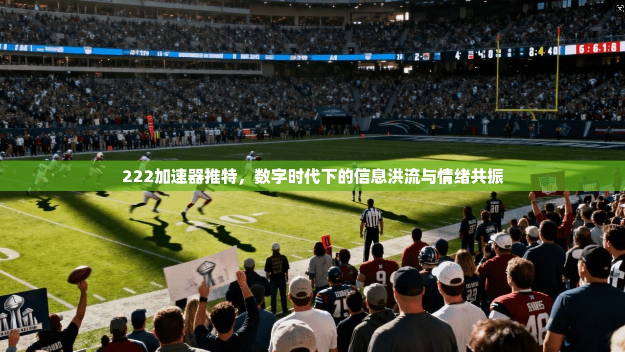 222加速器推特，数字时代下的信息洪流与情绪共振