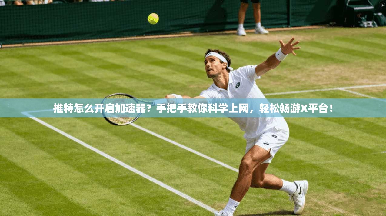 推特怎么开启加速器？手把手教你科学上网，轻松畅游X平台！