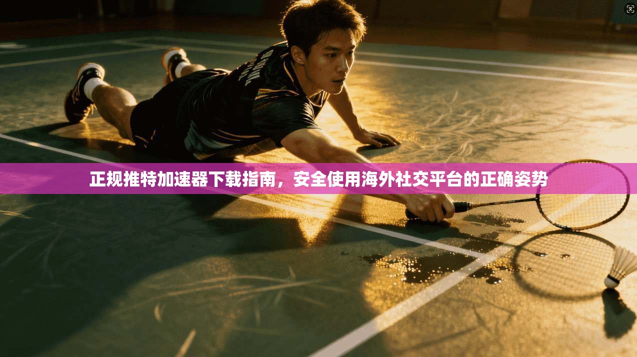 正规推特加速器下载指南，安全使用海外社交平台的正确姿势