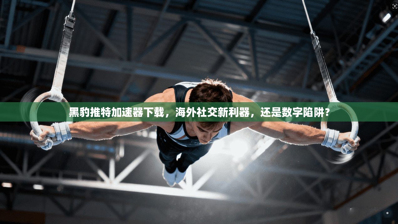 黑豹推特加速器下载，海外社交新利器，还是数字陷阱？