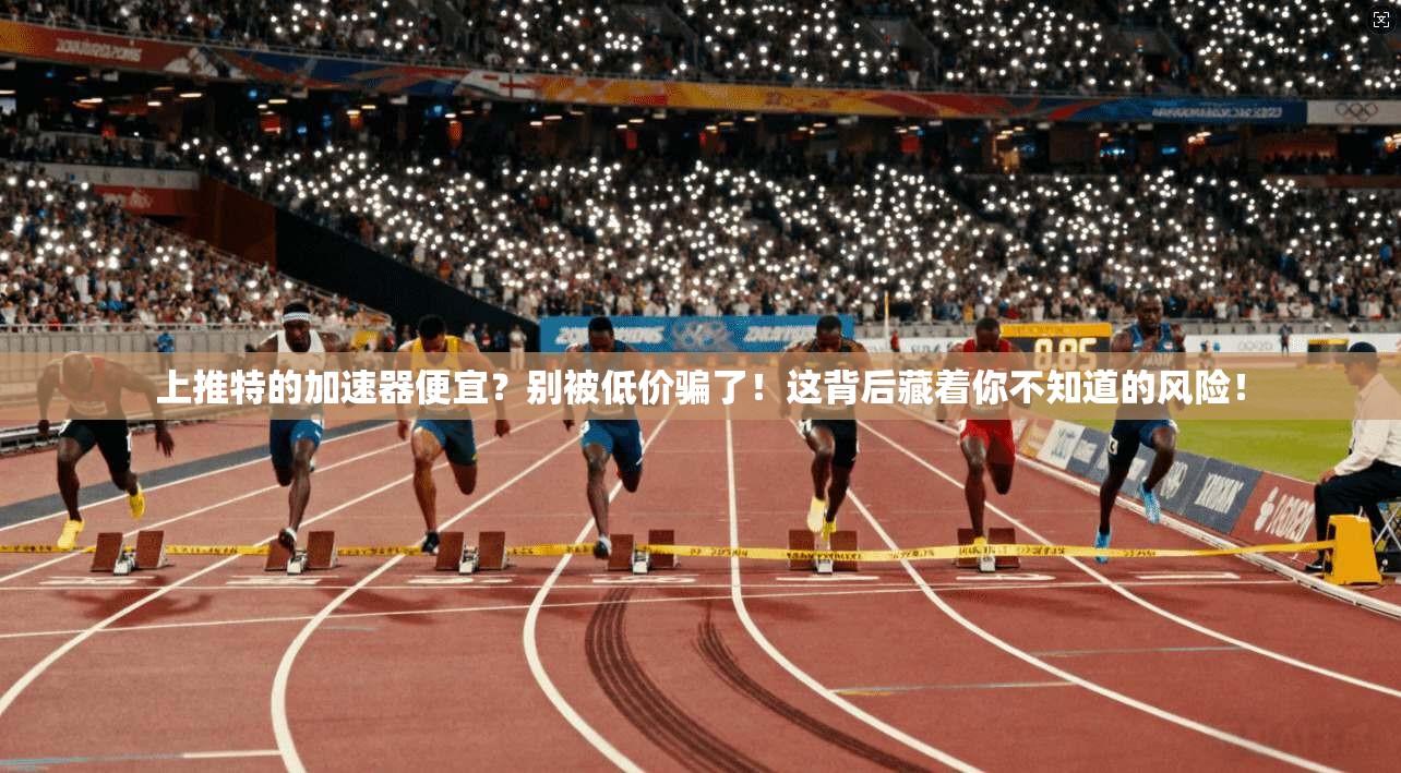 上推特的加速器便宜？别被低价骗了！这背后藏着你不知道的风险！