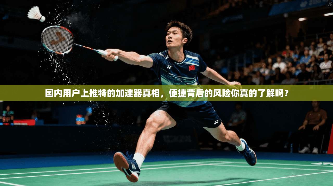 国内用户上推特的加速器真相，便捷背后的风险你真的了解吗？