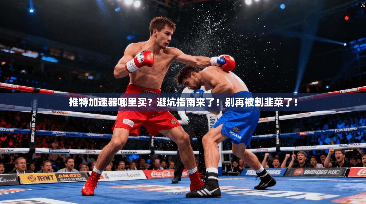 推特加速器哪里买？避坑指南来了！别再被割韭菜了！