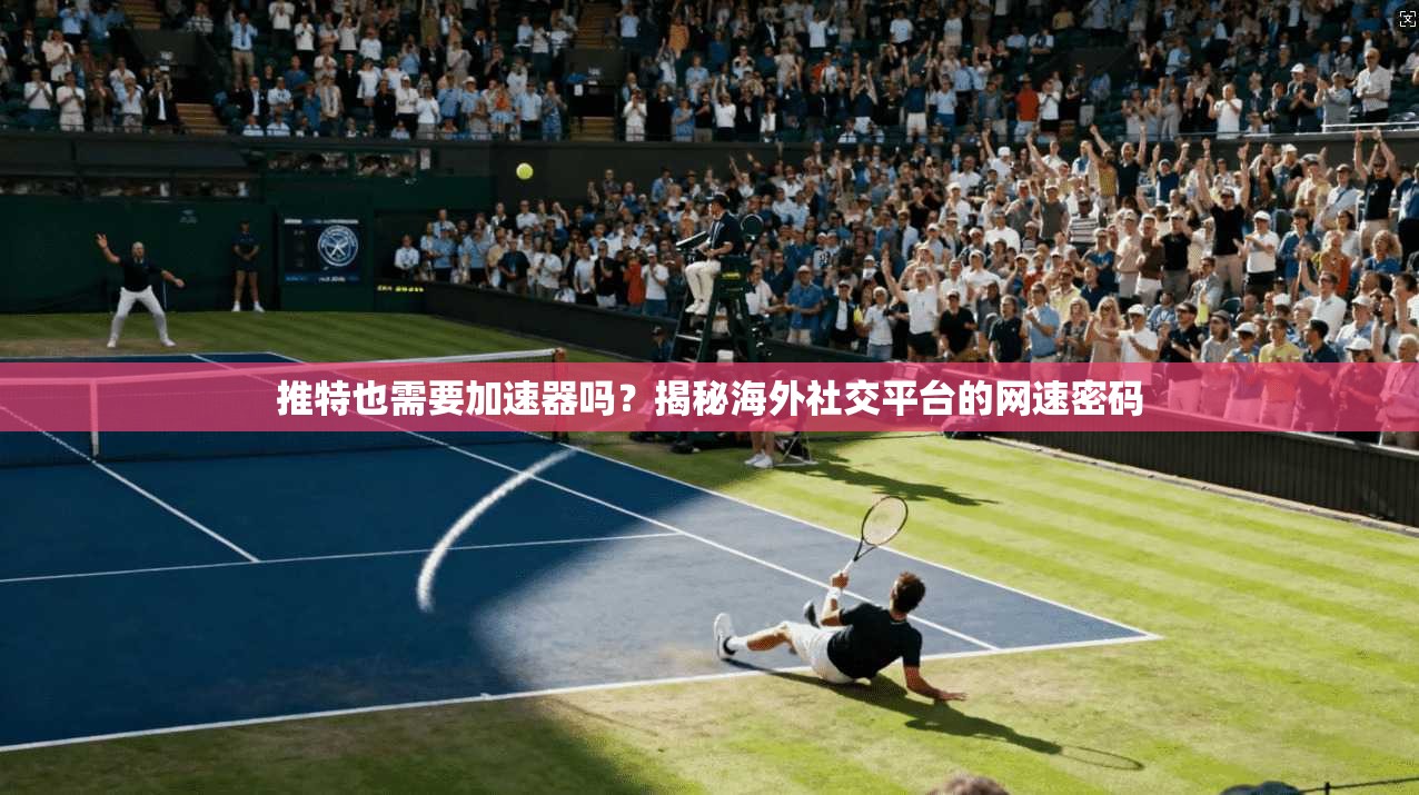 推特也需要加速器吗？揭秘海外社交平台的网速密码