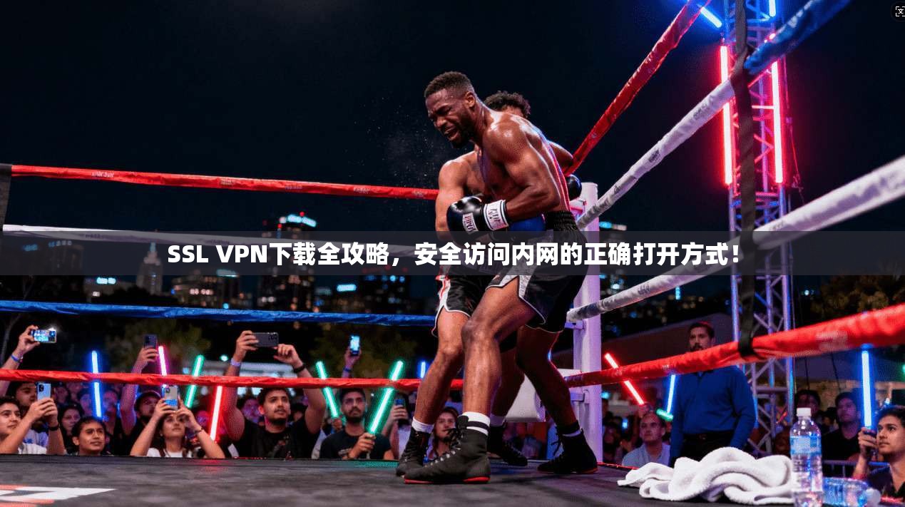 SSL VPN下载全攻略，安全访问内网的正确打开方式！