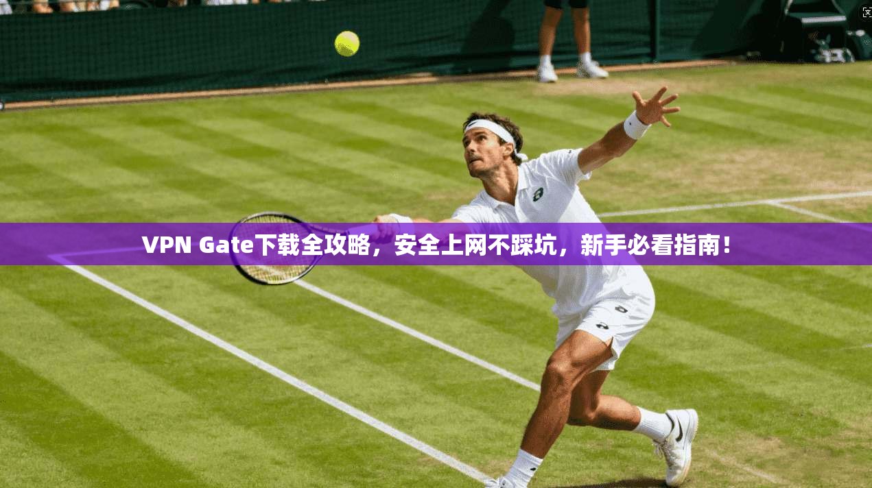 VPN Gate下载全攻略，安全上网不踩坑，新手必看指南！