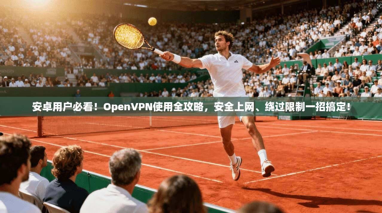 安卓用户必看！OpenVPN使用全攻略，安全上网、绕过限制一招搞定！