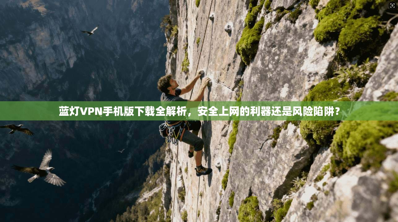 蓝灯VPN手机版下载全解析，安全上网的利器还是风险陷阱？
