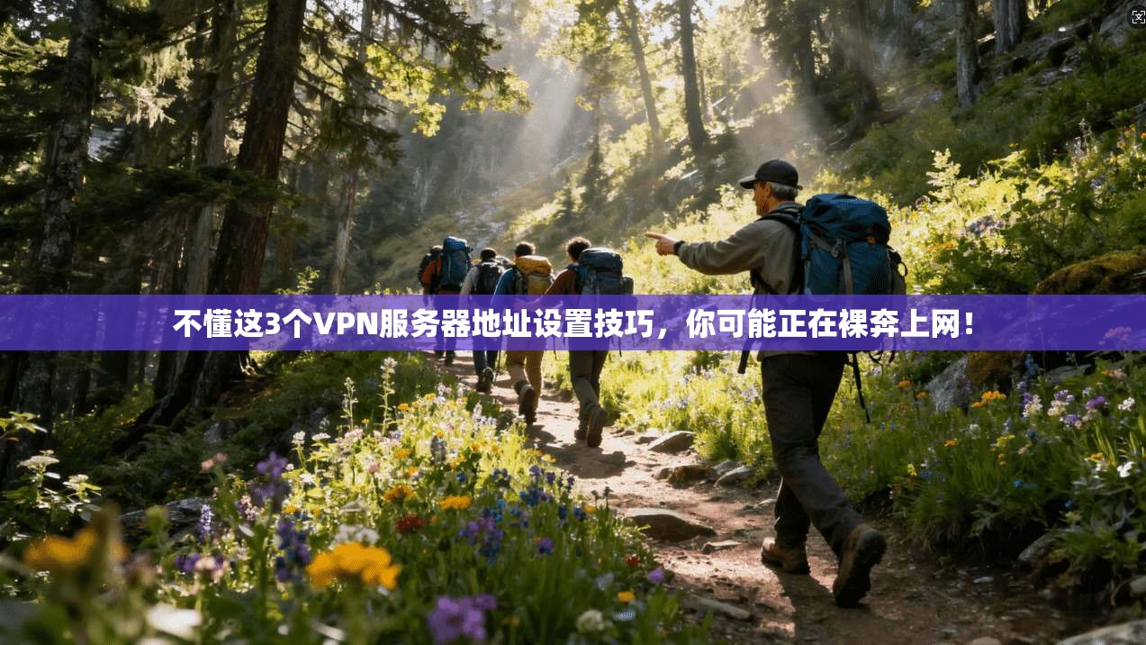 不懂这3个VPN服务器地址设置技巧，你可能正在裸奔上网！