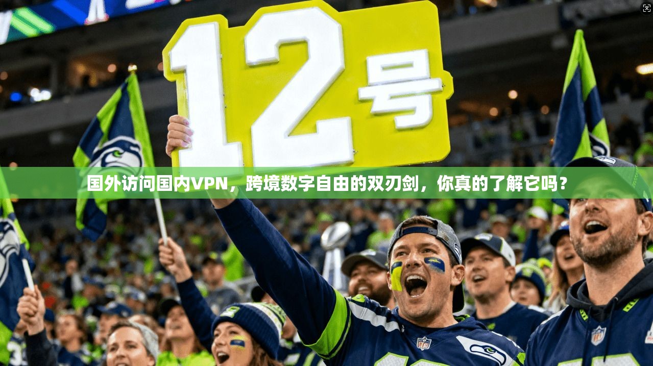 国外访问国内VPN，跨境数字自由的双刃剑，你真的了解它吗？