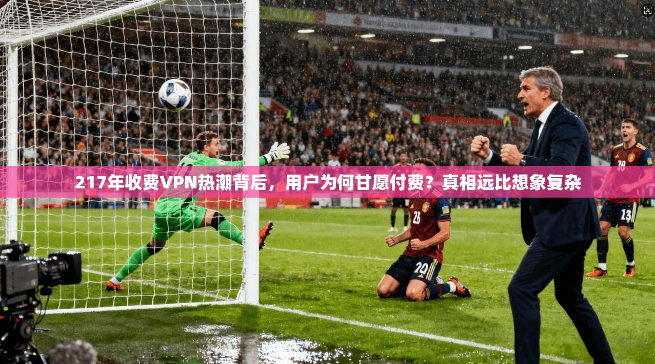 217年收费VPN热潮背后，用户为何甘愿付费？真相远比想象复杂