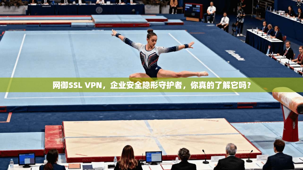 网御SSL VPN，企业安全隐形守护者，你真的了解它吗？