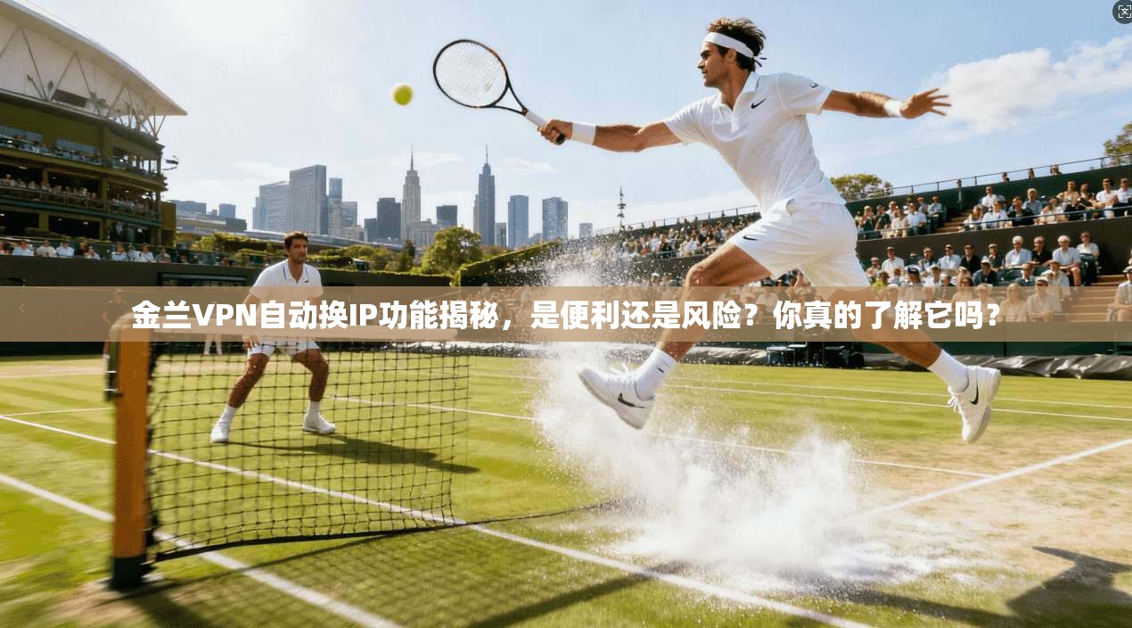 金兰VPN自动换IP功能揭秘，是便利还是风险？你真的了解它吗？