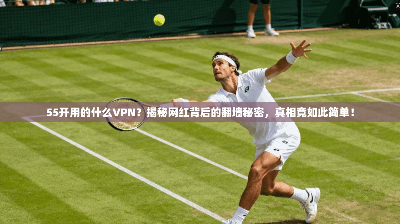 55开用的什么VPN？揭秘网红背后的翻墙秘密，真相竟如此简单！