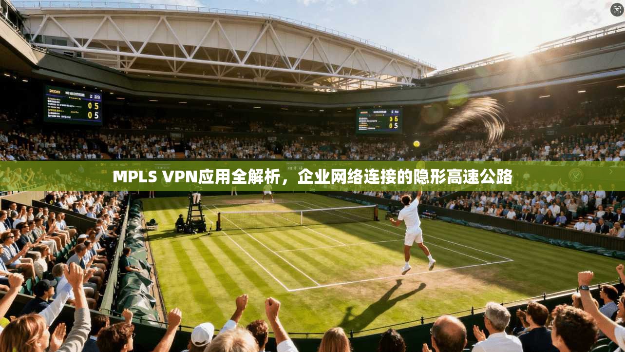 MPLS VPN应用全解析，企业网络连接的隐形高速公路