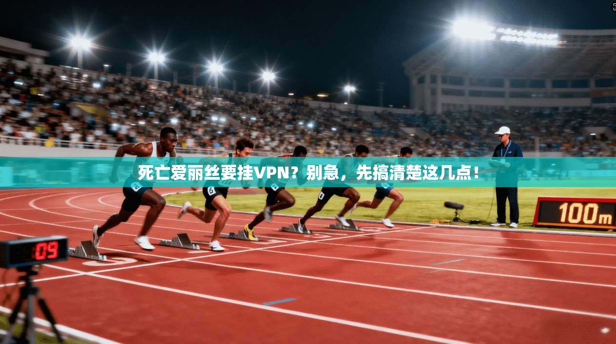 死亡爱丽丝要挂VPN？别急，先搞清楚这几点！