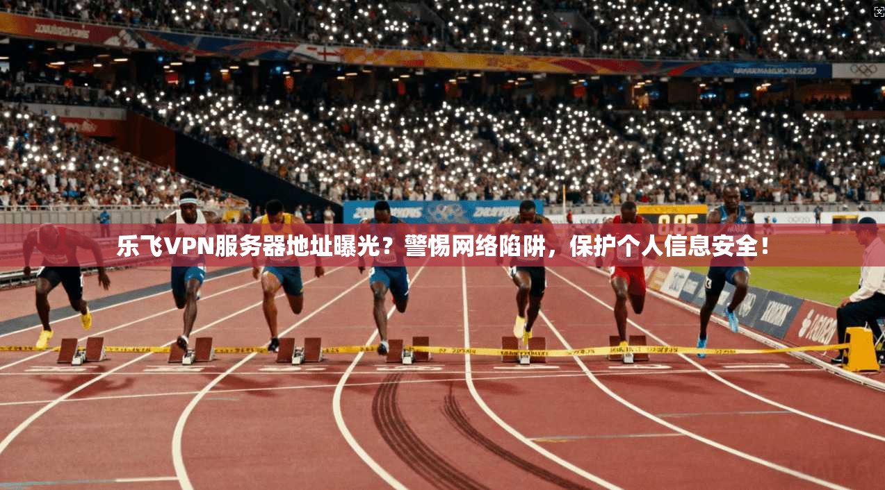 乐飞VPN服务器地址曝光？警惕网络陷阱，保护个人信息安全！