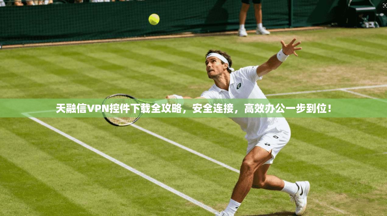 天融信VPN控件下载全攻略,安全连接,高效办公一步到位!