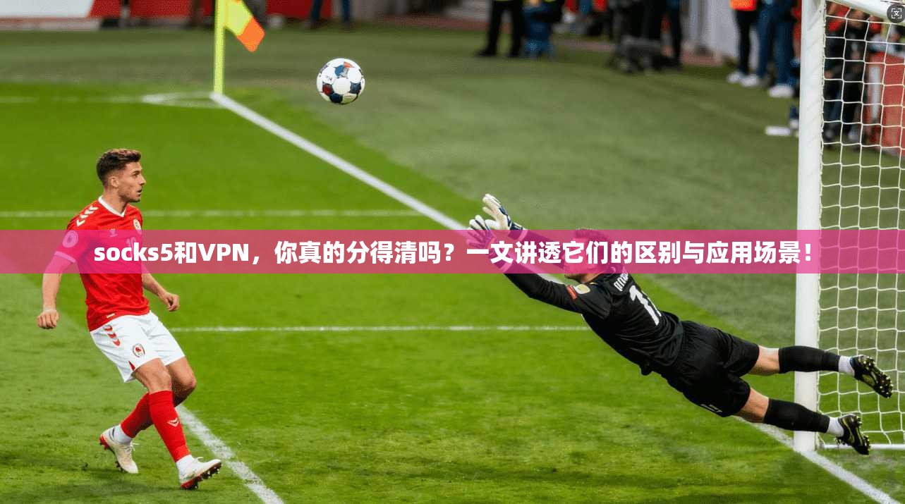 socks5和VPN，你真的分得清吗？一文讲透它们的区别与应用场景！