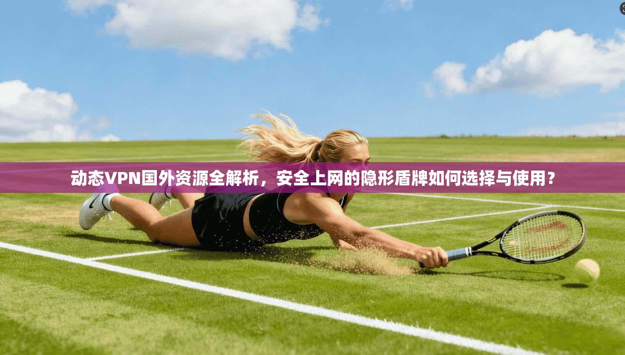 动态VPN国外资源全解析，安全上网的隐形盾牌如何选择与使用？