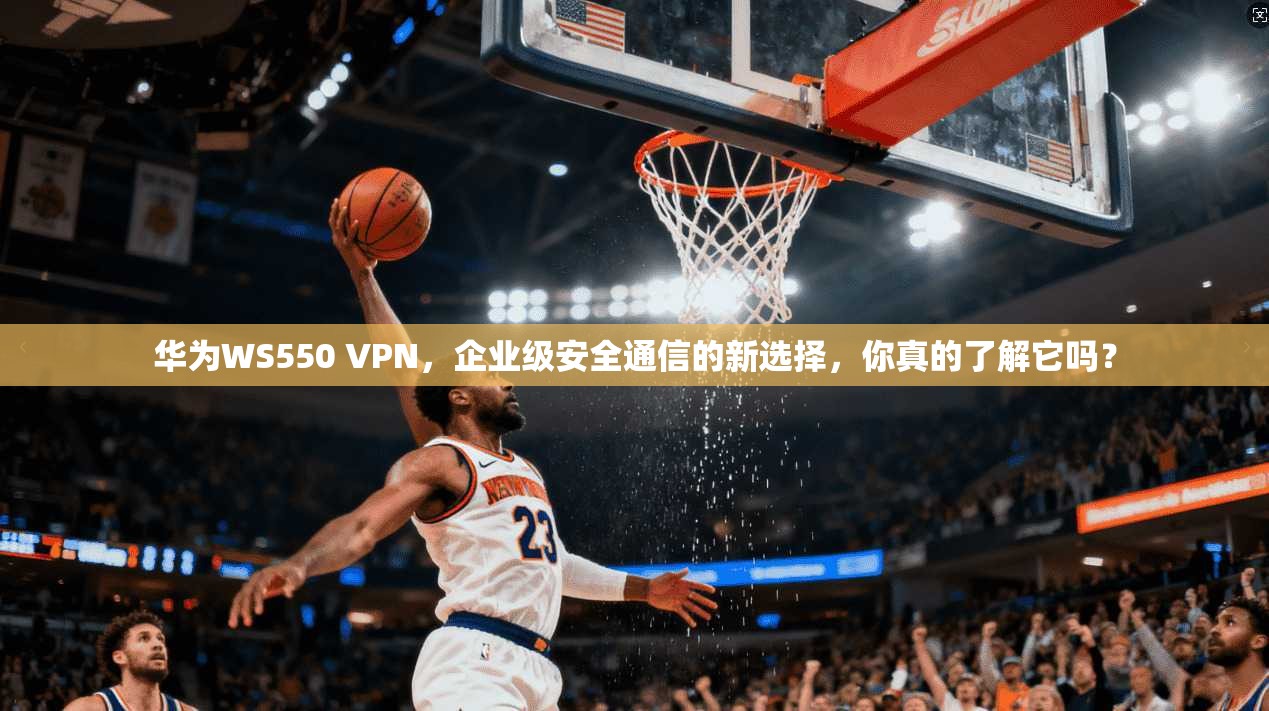 华为WS550 VPN，企业级安全通信的新选择，你真的了解它吗？
