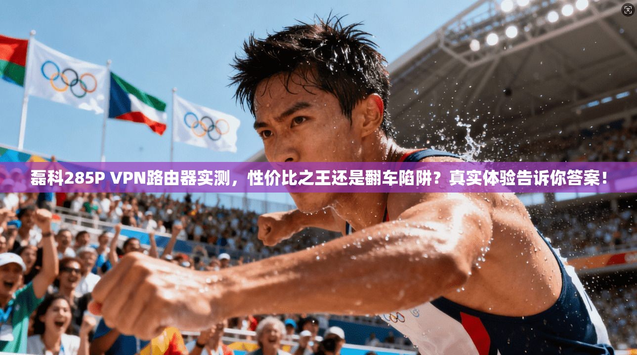 磊科285P VPN路由器实测，性价比之王还是翻车陷阱？真实体验告诉你答案！