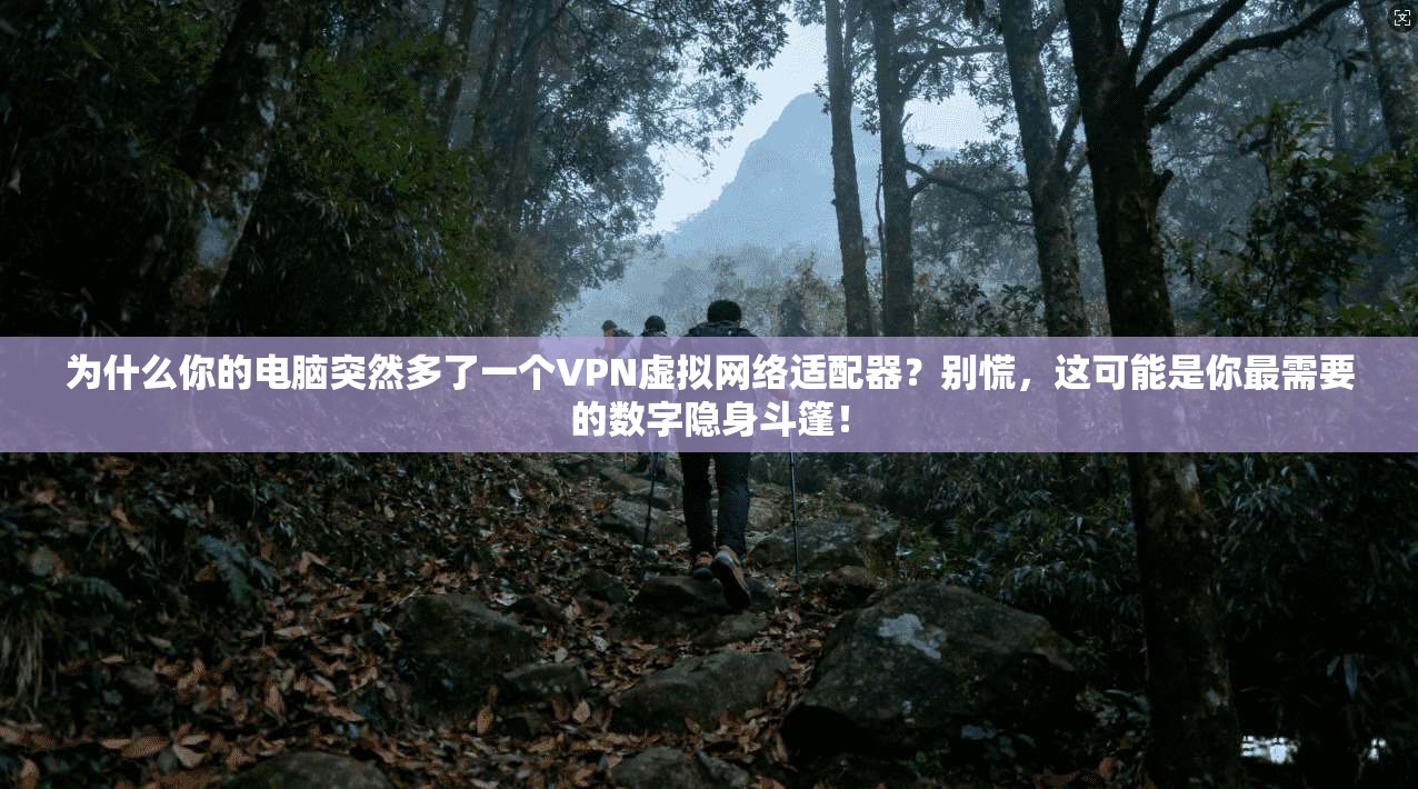 为什么你的电脑突然多了一个VPN虚拟网络适配器？别慌，这可能是你最需要的数字隐身斗篷！