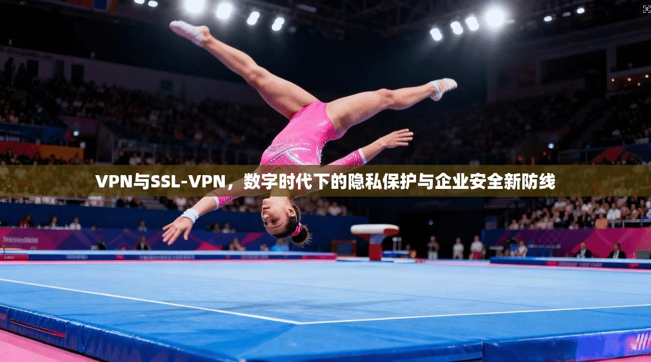 VPN与SSL-VPN，数字时代下的隐私保护与企业安全新防线