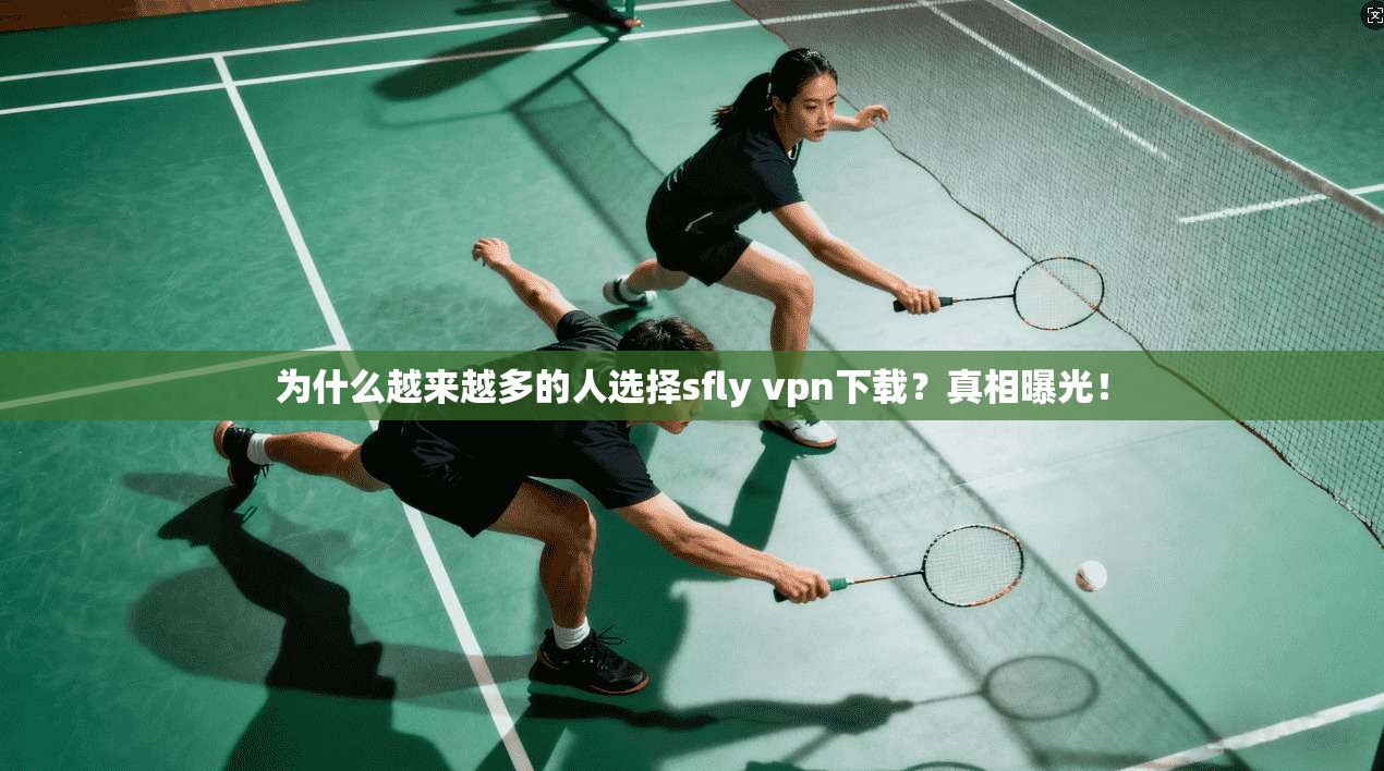 为什么越来越多的人选择sfly vpn下载？真相曝光！