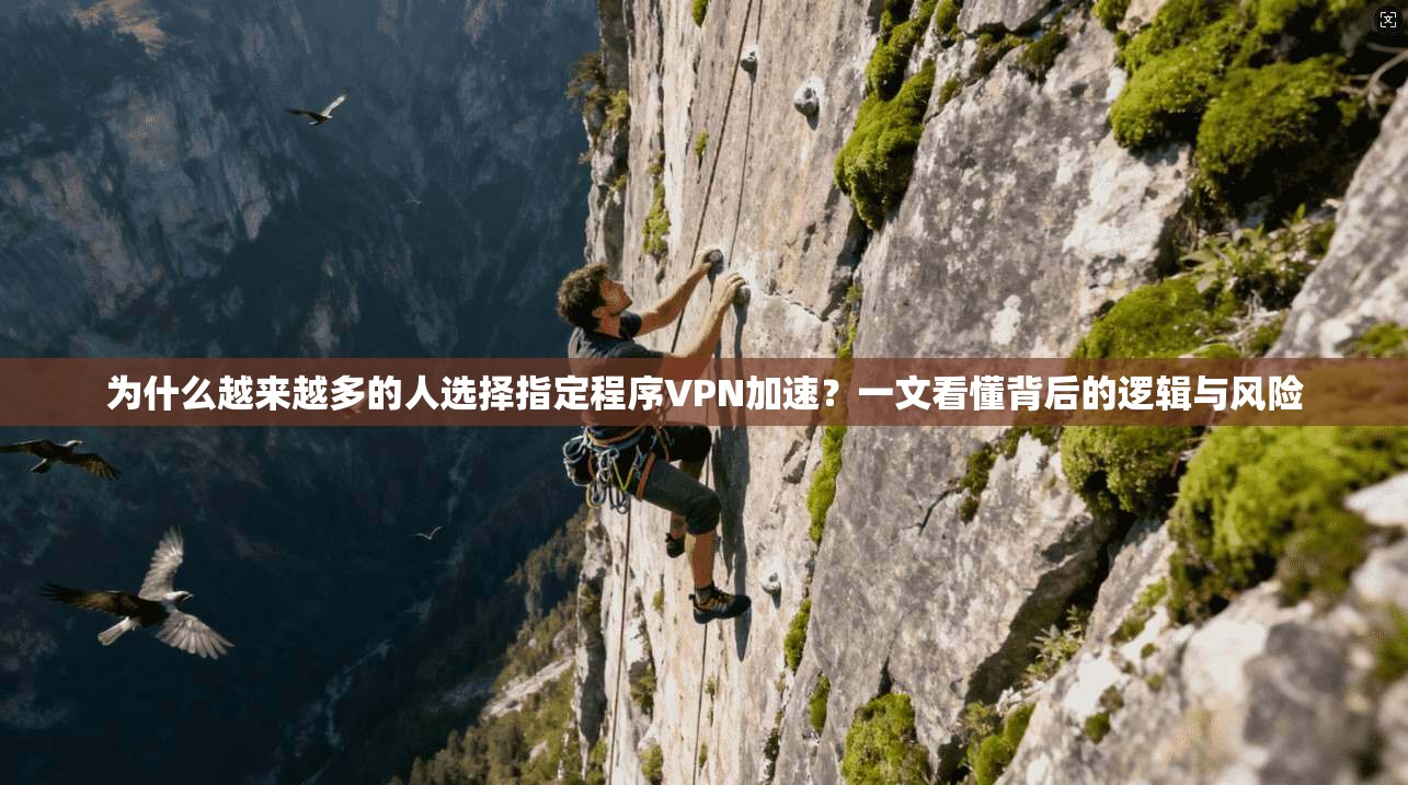 为什么越来越多的人选择指定程序VPN加速?一文看懂背后的逻辑与风险