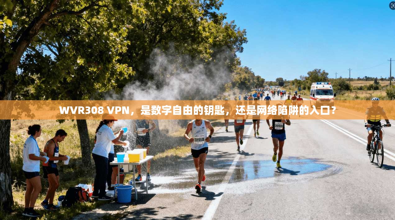WVR308 VPN，是数字自由的钥匙，还是网络陷阱的入口？