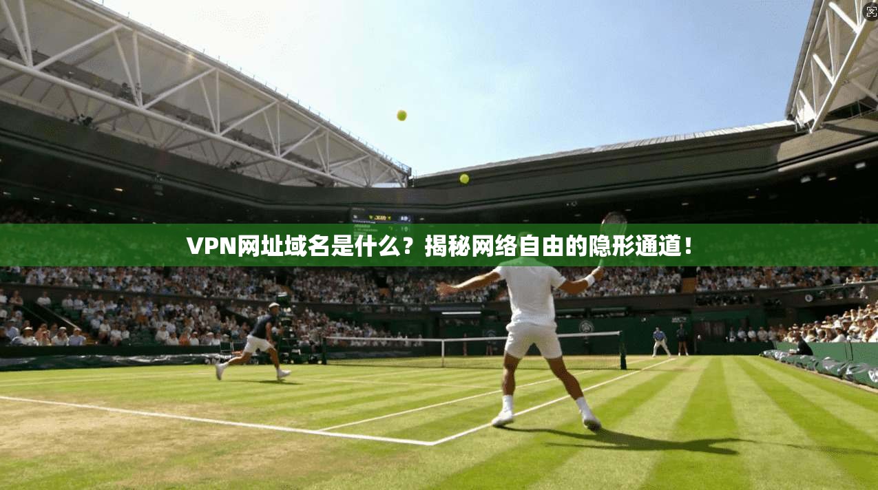 VPN网址域名是什么？揭秘网络自由的隐形通道！