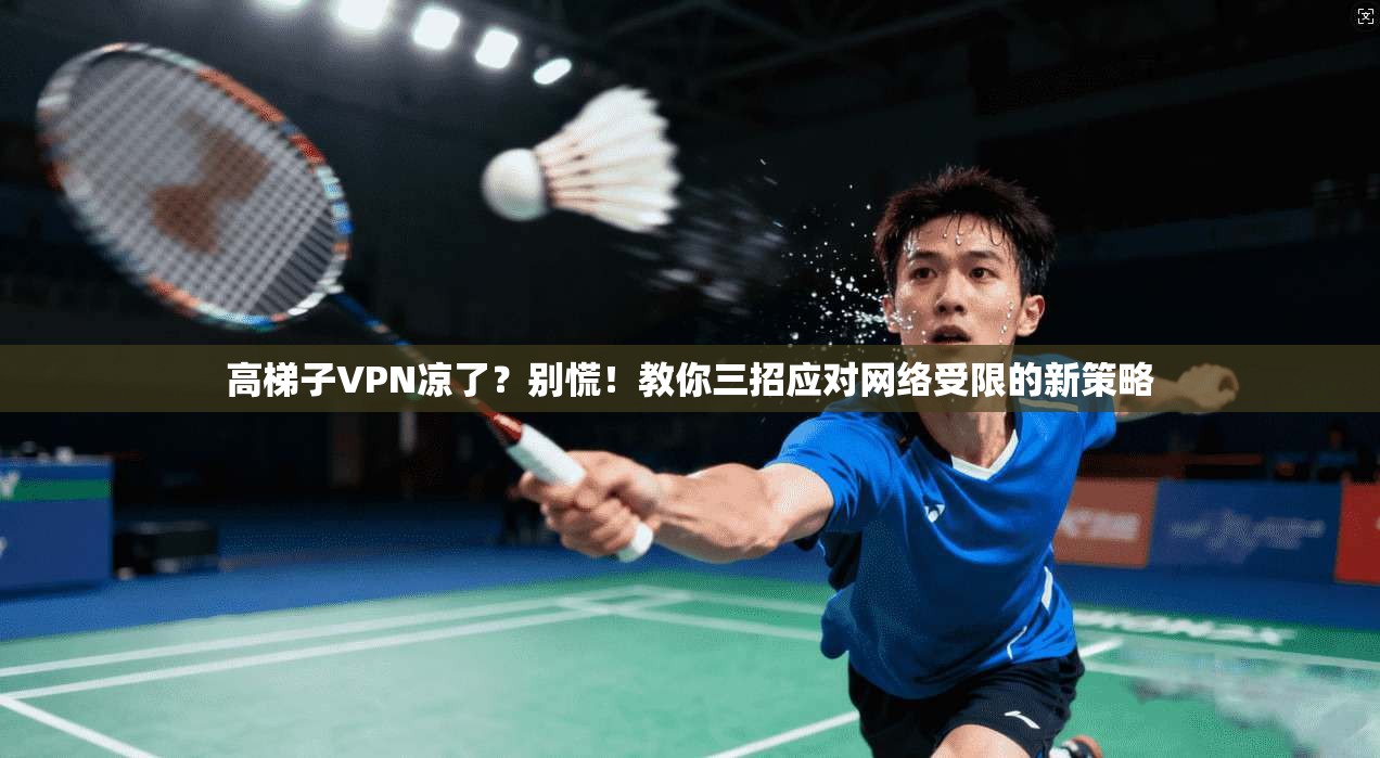 高梯子VPN凉了？别慌！教你三招应对网络受限的新策略