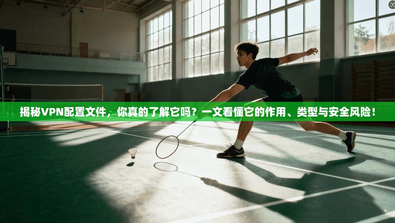 揭秘VPN配置文件，你真的了解它吗？一文看懂它的作用、类型与安全风险！