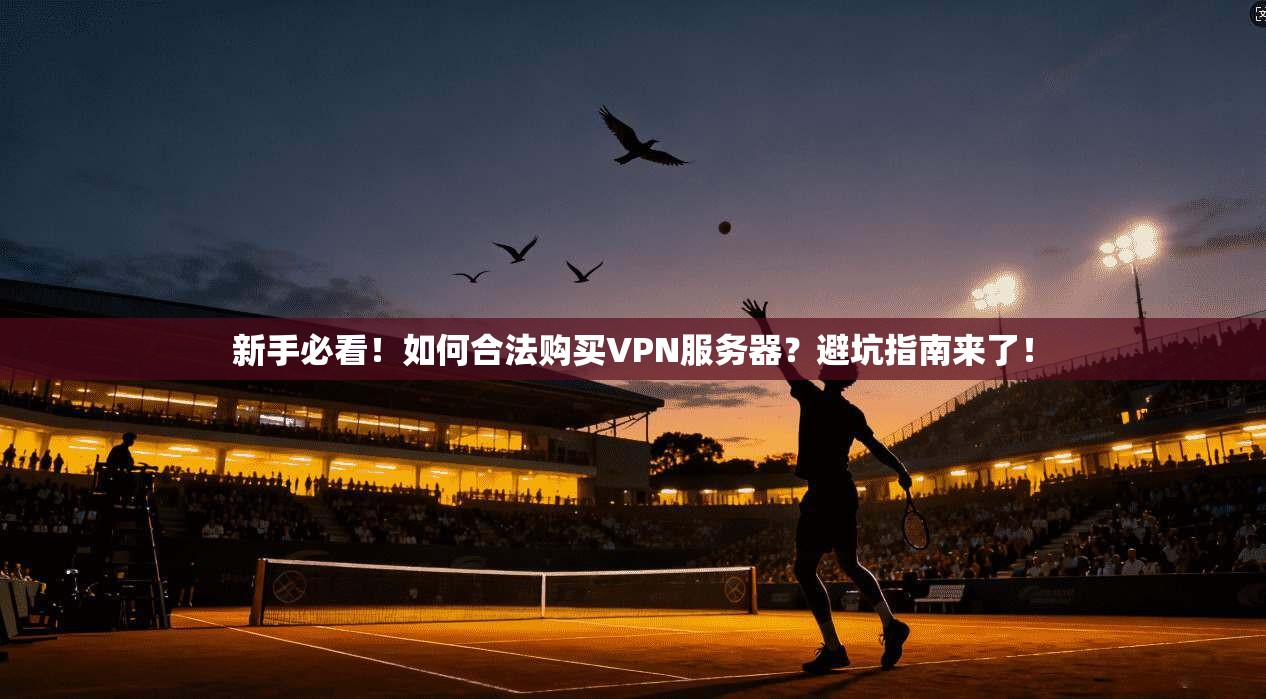 新手必看！如何合法购买VPN服务器？避坑指南来了！