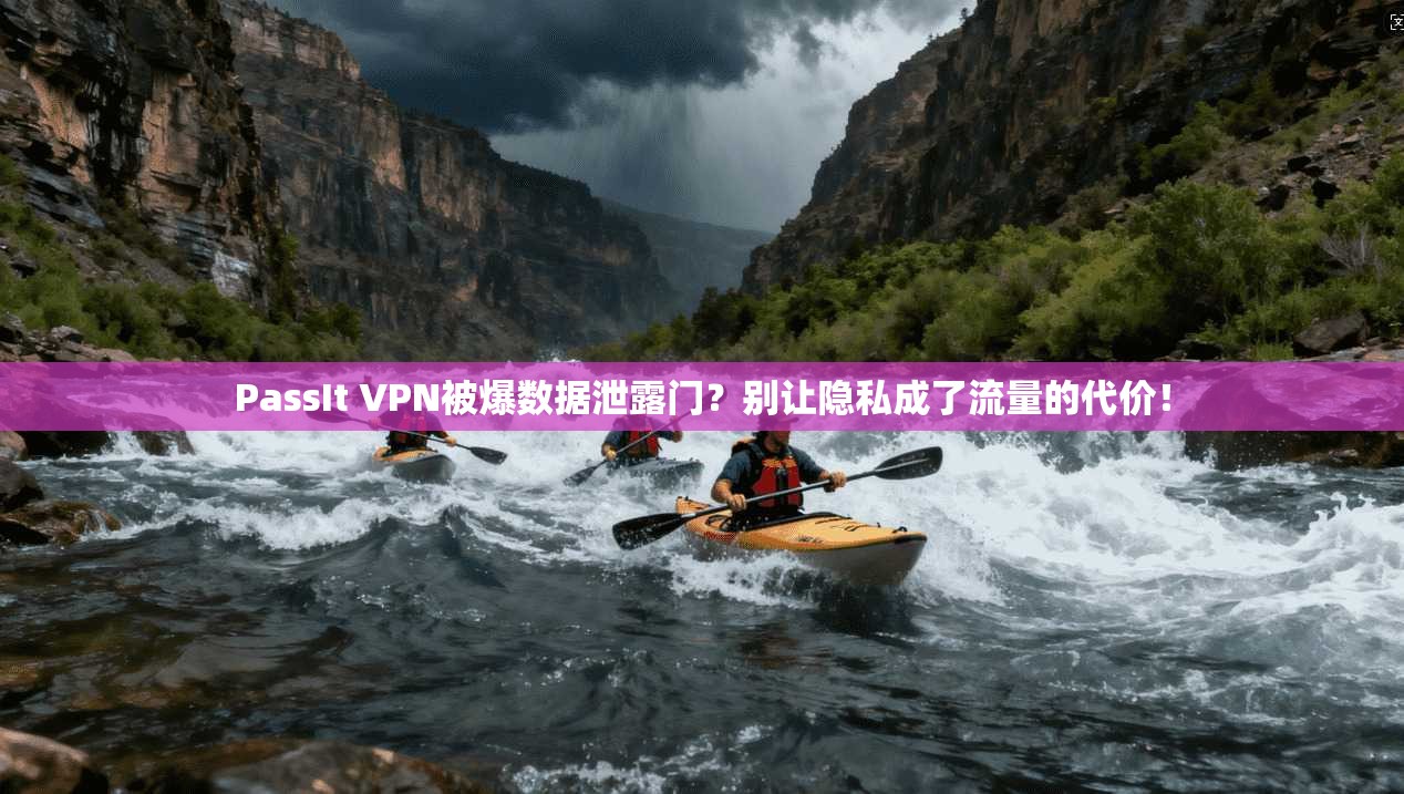 PassIt VPN被爆数据泄露门？别让隐私成了流量的代价！