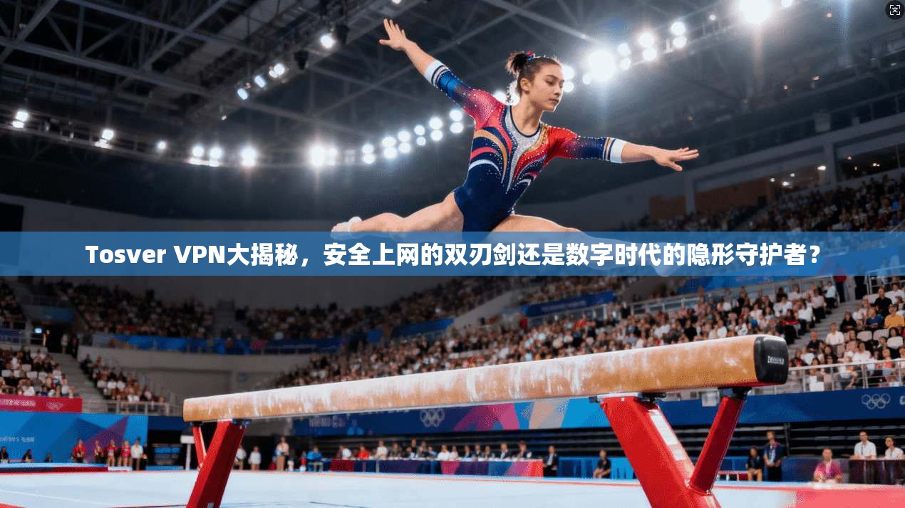 Tosver VPN大揭秘，安全上网的双刃剑还是数字时代的隐形守护者？