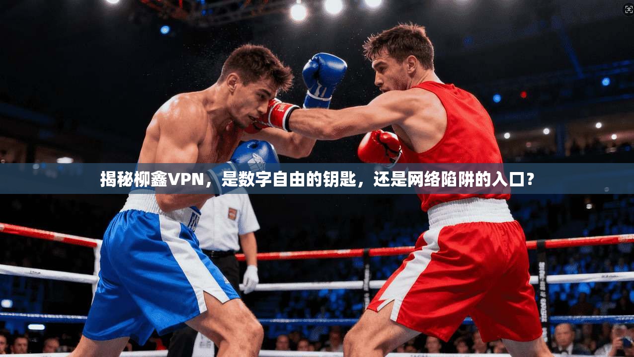 揭秘柳鑫VPN，是数字自由的钥匙，还是网络陷阱的入口？