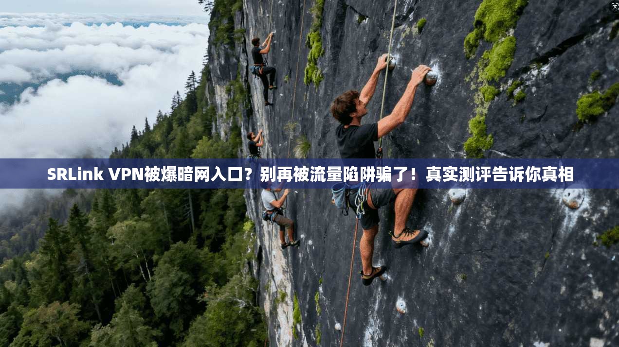 SRLink VPN被爆暗网入口？别再被流量陷阱骗了！真实测评告诉你真相