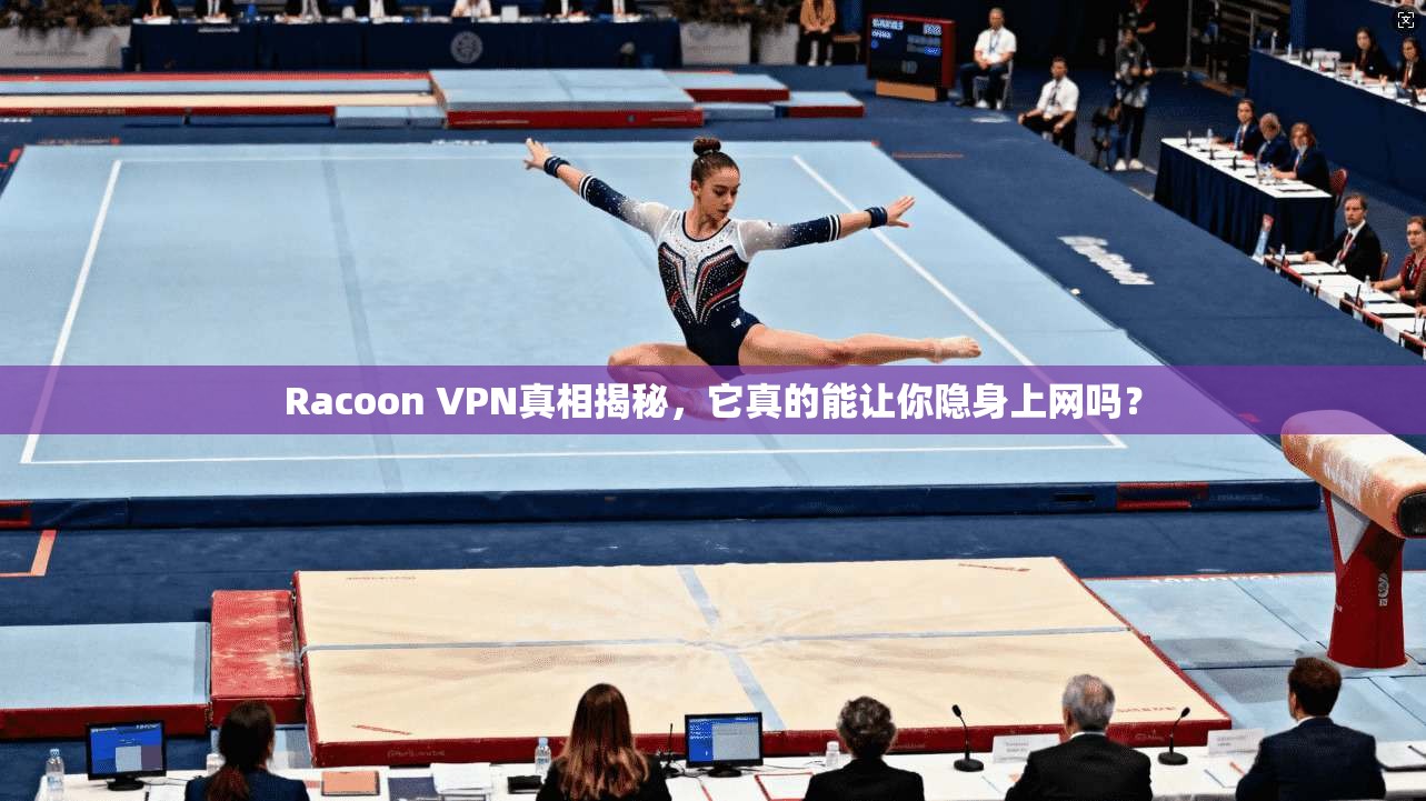 Racoon VPN真相揭秘，它真的能让你隐身上网吗？
