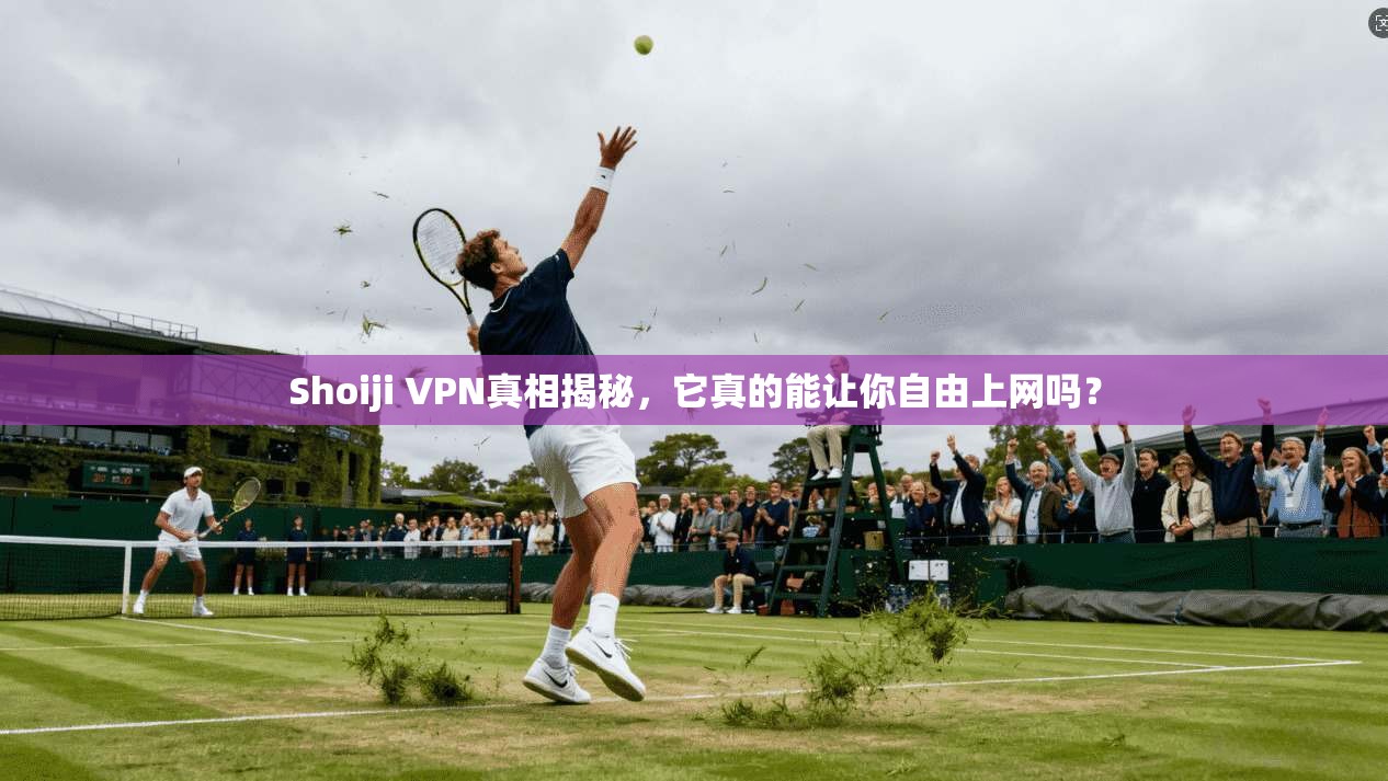 Shoiji VPN真相揭秘，它真的能让你自由上网吗？
