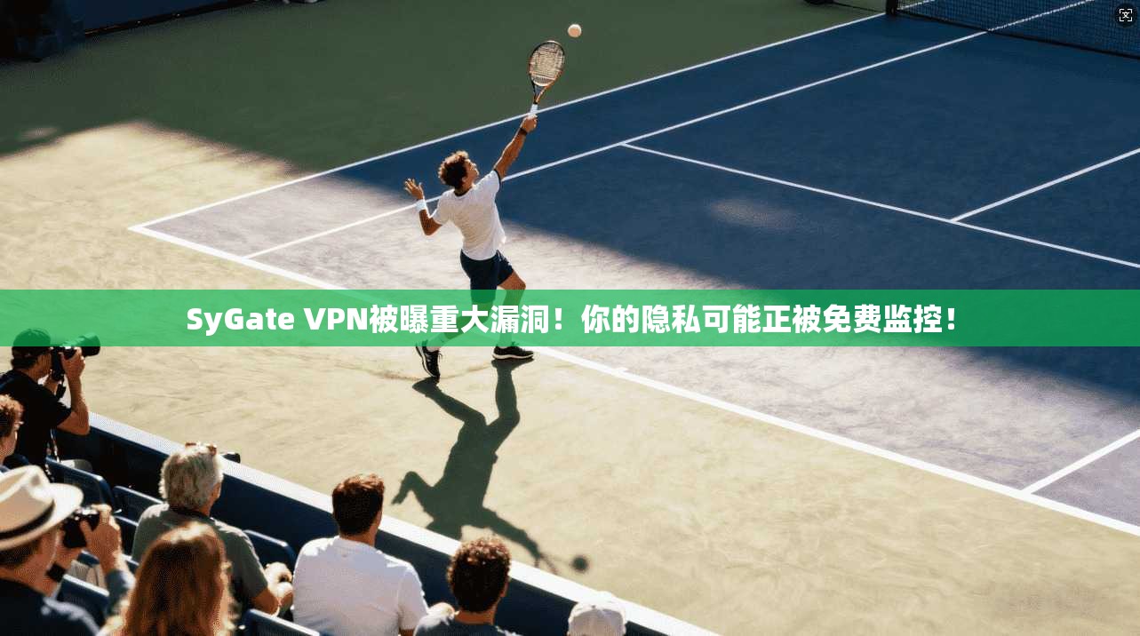 SyGate VPN被曝重大漏洞！你的隐私可能正被免费监控！