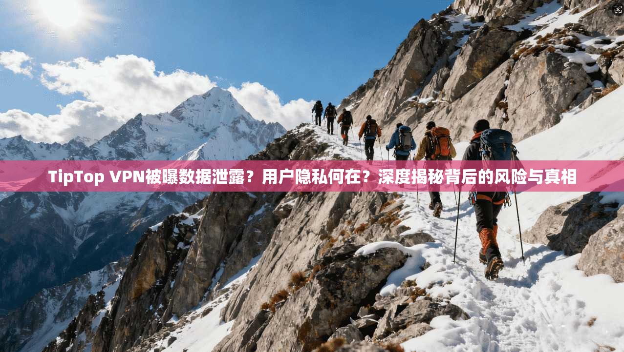 TipTop VPN被曝数据泄露？用户隐私何在？深度揭秘背后的风险与真相